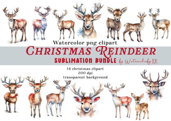 Watercolor Christmas Reindeer Bundle: Illustrations Review